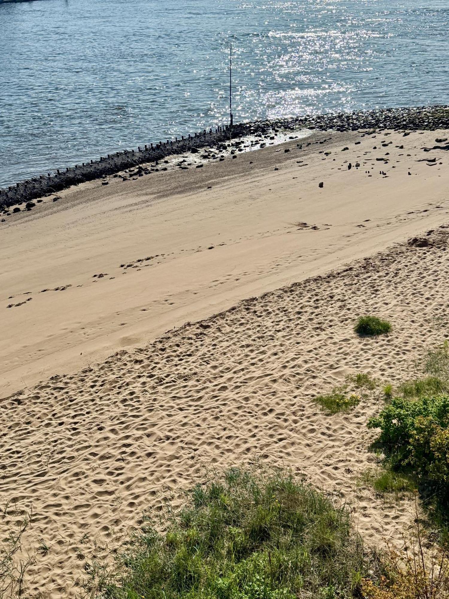 Gaestehaus Weserblick Am Weser-Sandstrand Berne Eksteriør billede