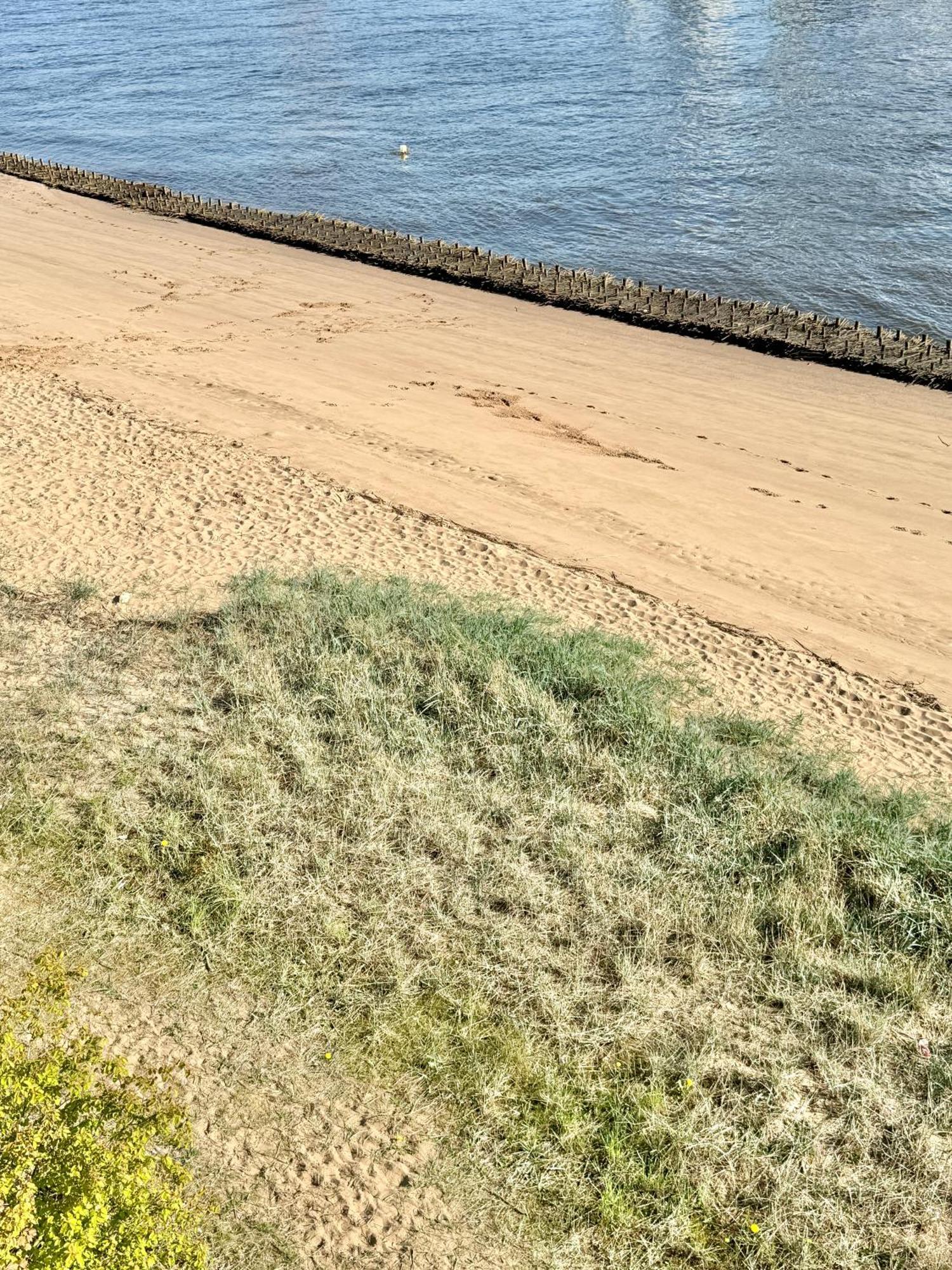 Gaestehaus Weserblick Am Weser-Sandstrand Berne Eksteriør billede